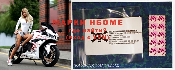 Альфа ПВП Надым