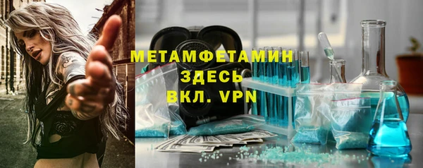 прущие грибы Верхний Тагил