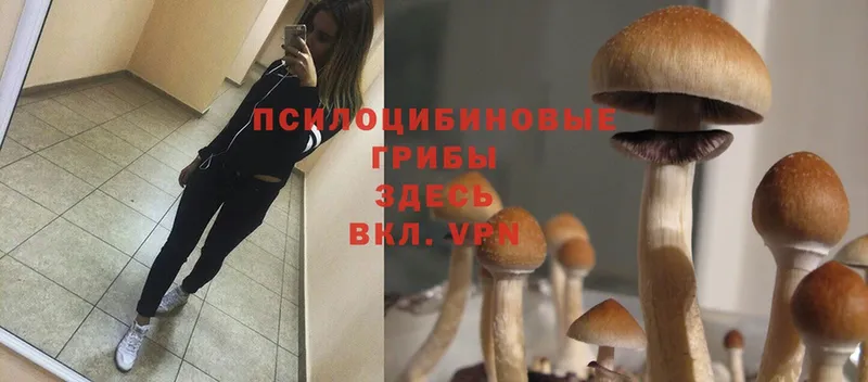 Галлюциногенные грибы MAGIC MUSHROOMS  Нолинск 