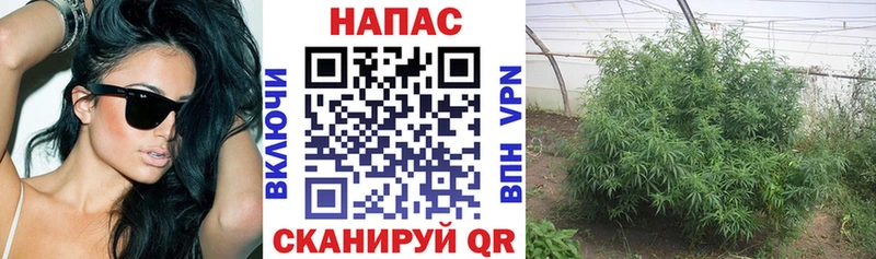 Марихуана OG Kush  хочу   Нолинск 